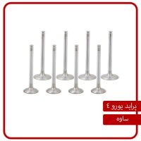 ست سوپاپ دود و بنزین پراید یورو 4 (ساوه – STYM)